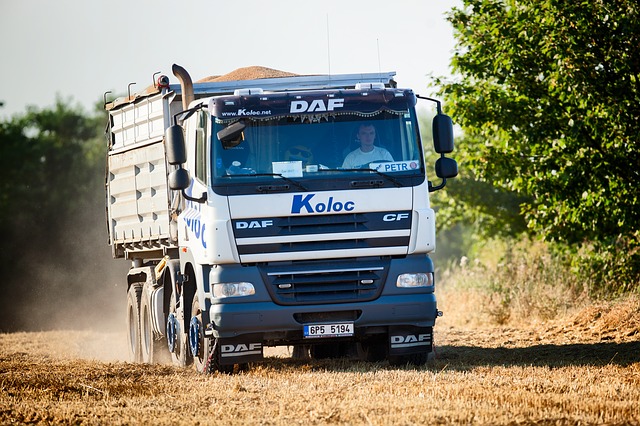 Heavy dumper truck loaded with goods