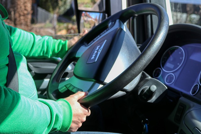 A driver holding truck's steering